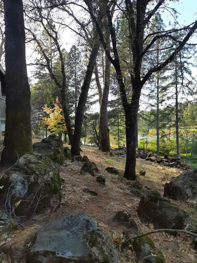 Alta Sierra Village Inn Grass Valley Luaran gambar